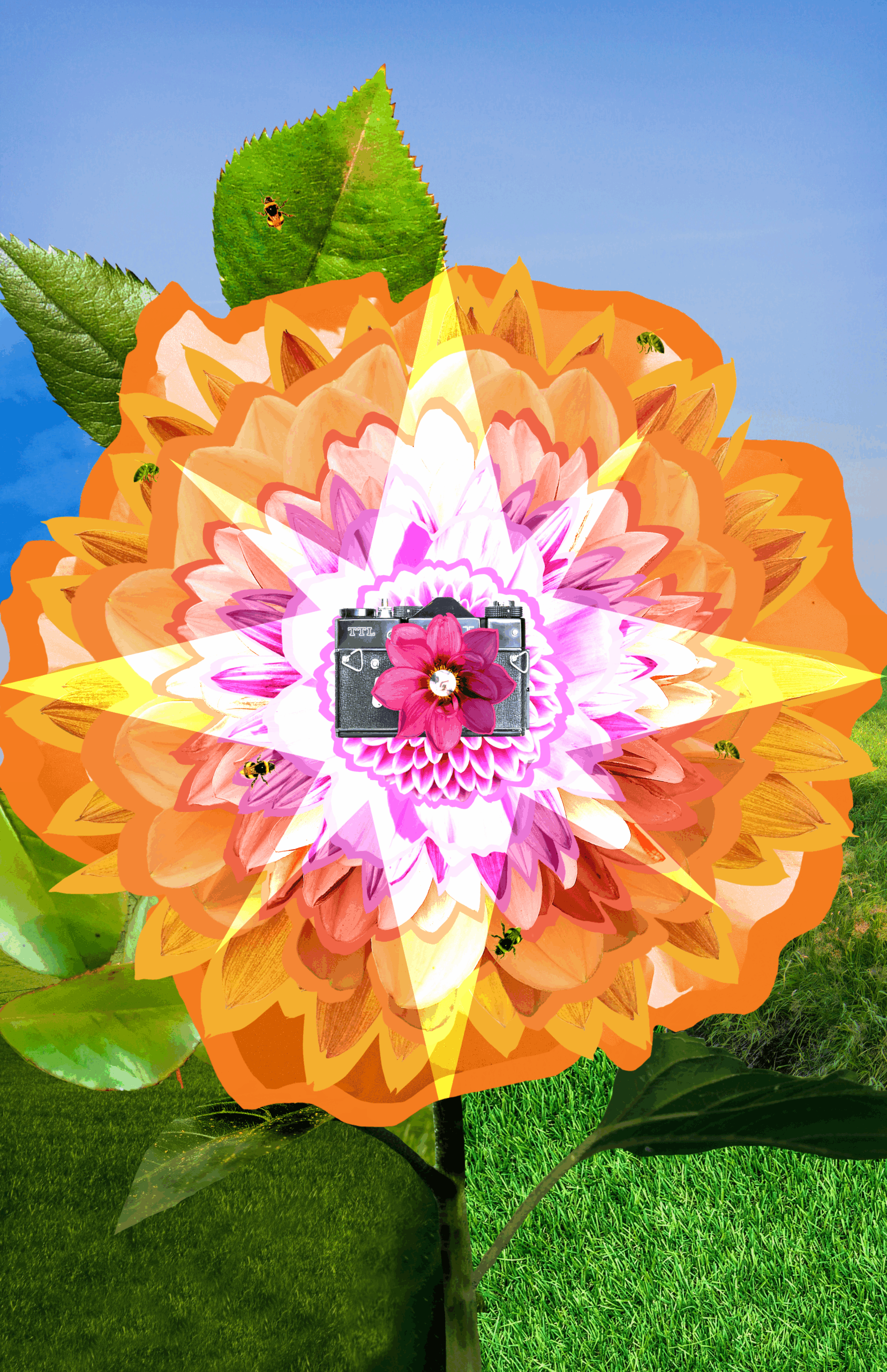 Flower collage